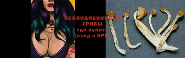 Альфа ПВП Алексеевка