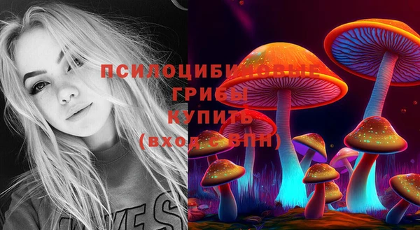 не бодяженный Алзамай